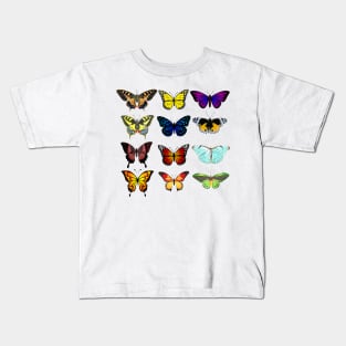 Butterfly Pattern - Multi Coloured Species Kids T-Shirt